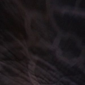 Meet your Posher, Jack